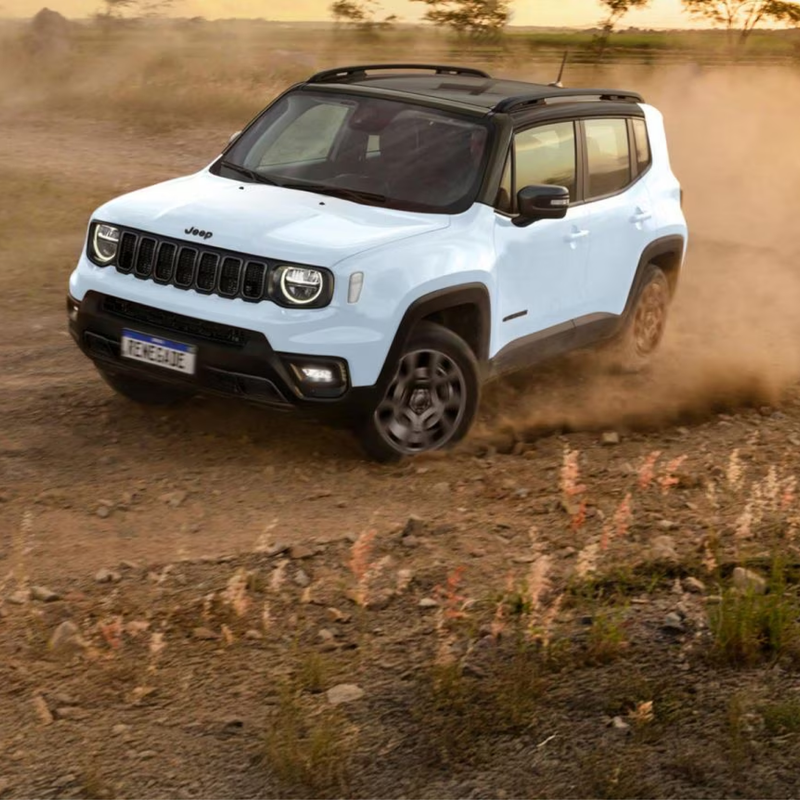 Cargue la imagen en el visor de la galería, Kit Plataforma Rhino-Rack Jeep Renegade 2025 con Rieles
